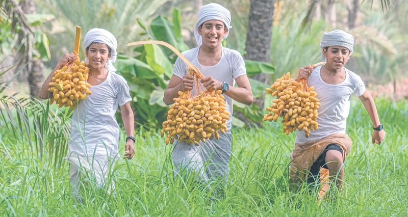 صور ضوئية تبرز حصاد «موسم القيظ»
