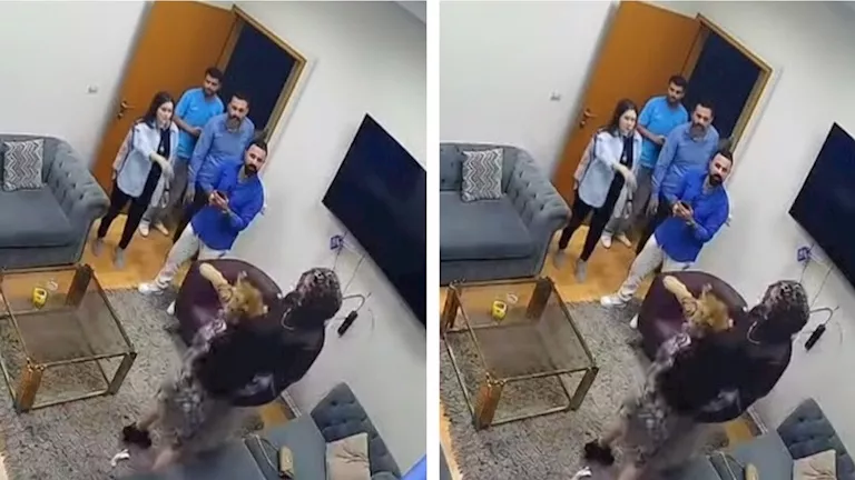 أسد يهاجم مروة عبدالمنعم أثناء تصوير أحد البرامج