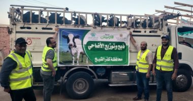 تحت إشراف تضامن .. وضع خطة عمل متكاملة بكفر الشيخ لاستقبال لعيد الأضحى المبارك