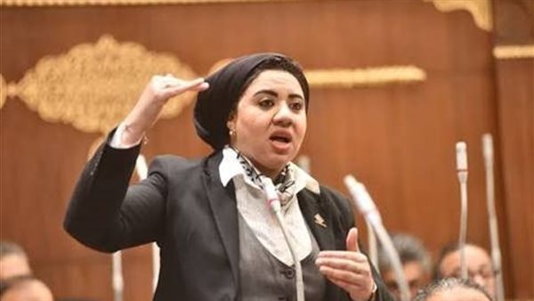 أميرة صابر تتجاهل هجوم عبير صبري وتعلن وصيتها بالتبرع بعد الوفاة| فيديو