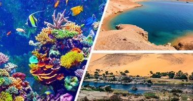 10 خطوات لتحويل شرم الشيخ والمحميات الطبيعية لعاصمة الاستثمار البيئي المستدام