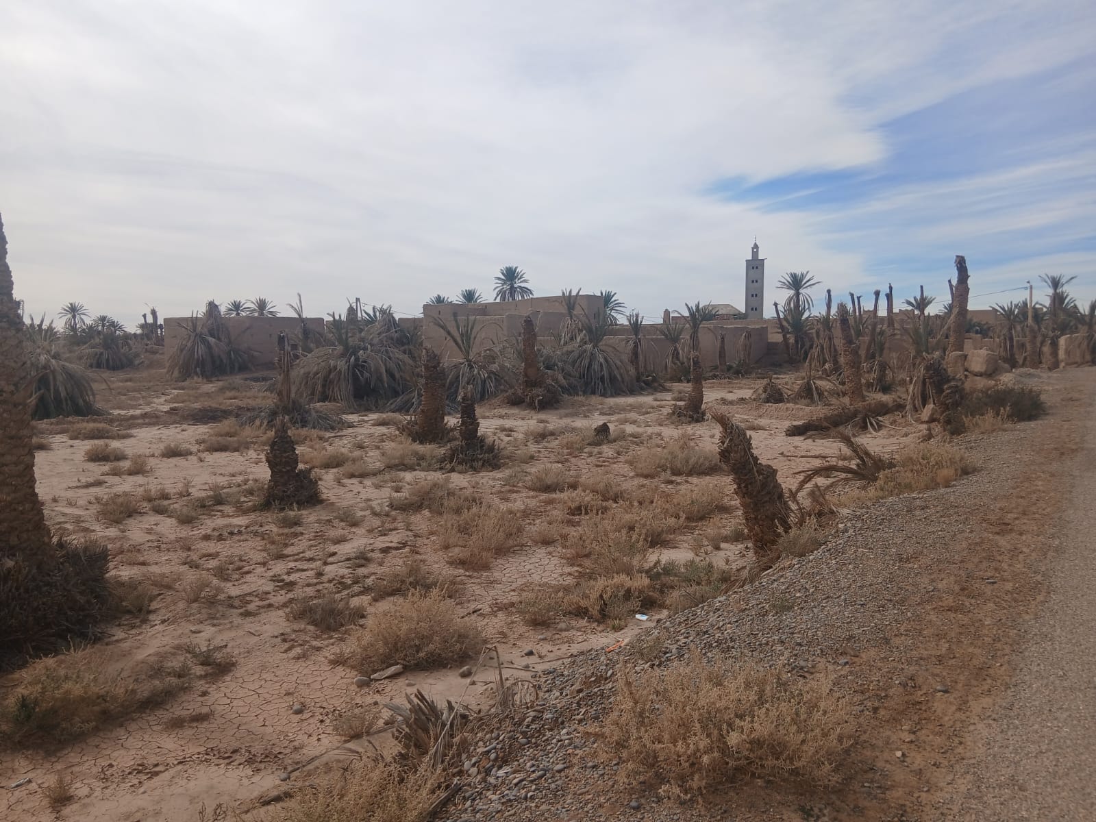 الجفاف يهدد واحات تافيلالت.. مطالب بتدخل مائي سريع من سد الحسن الداخل