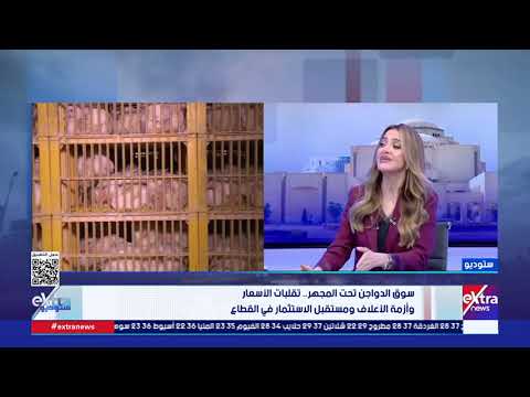 رئيس قطاع تنمية الثروة الحيوانية والداجنة بوزارة الزراعة يوضح دور الدولة في دعم صغار منتجي الدواجن