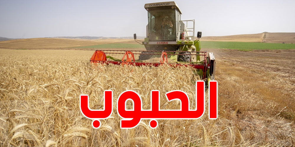 أمطار غزيرة متوقعة اليوم.. إجراءات ضرورية لإنقاذ المحاصيل