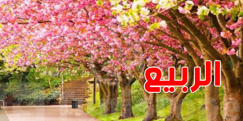 في بالك: الربيع بالتقويم الفلاحي يُدخل اليوم في تونس