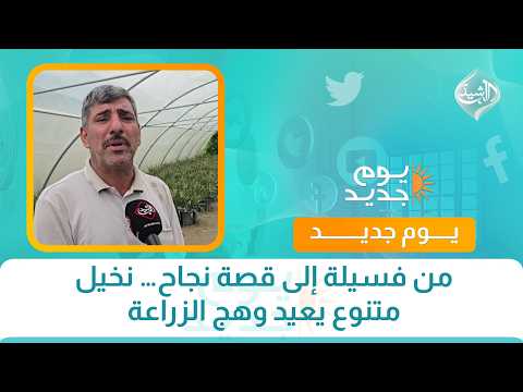 من فسيلة إلى قصة نجاح… نخيل متنوع يعيد وهج الزراعة