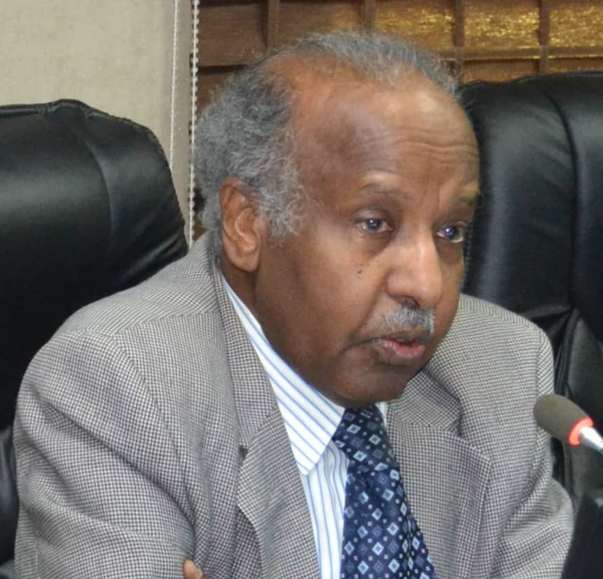 خفَايا وخبَايا مفاوضات واتفاقيات تقريرِ المصير لجنوبِ السودان (4– 29)
