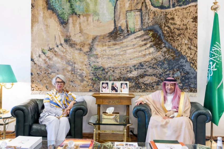 نائب وزير الخارجية يستقبل الممثل الخاص للاتحاد الأوروبي للقرن الأفريقي