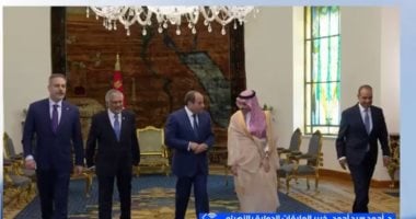 خبير: الرؤية المصرية لحل أزمات المنطقة تقوم على معالجة الأسباب العميقة