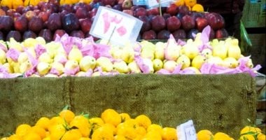 تعرف على أسعار الفاكهة في أسواق بالأقصر اليوم السبت 21 فبراير 2026