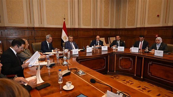 بعد موافقة قوى عاملة الشيوخ، تفاصيل تعديل قانون التأمينات