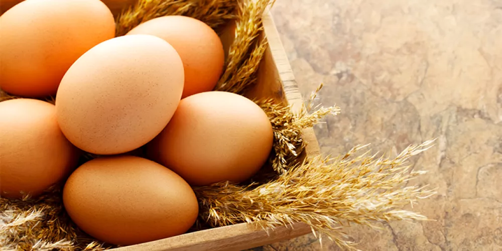 سر توقيت تناول البيض.. صباحًا للتخسيس أم بعد التمرين للعضلات؟