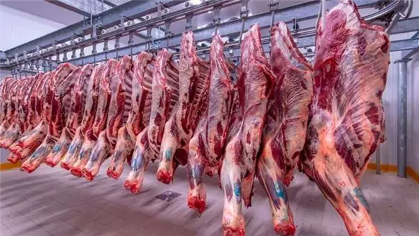 ارتفاع الضاني وانخفاض البتلو، أسعار اللحوم اليوم في الأسواق