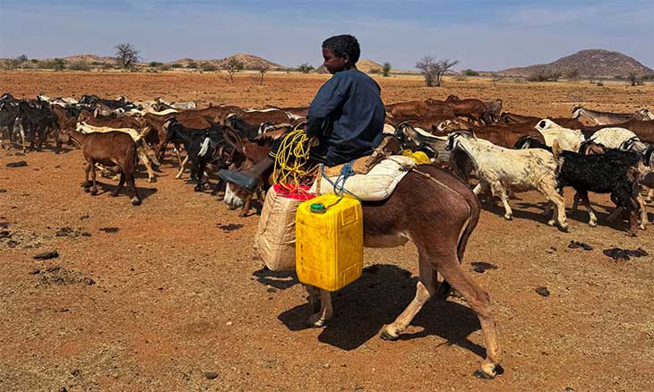خبرات سودانية حول الهدنة