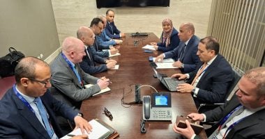 وزير العمل يبحث مع نظيريه الجزائري والسوداني التعاون فى التدريب والتشغيل