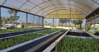 محطة بحوث الصحراء بالشيخ زويد.. ركيزة علمية لتنمية الزراعة في سيناء