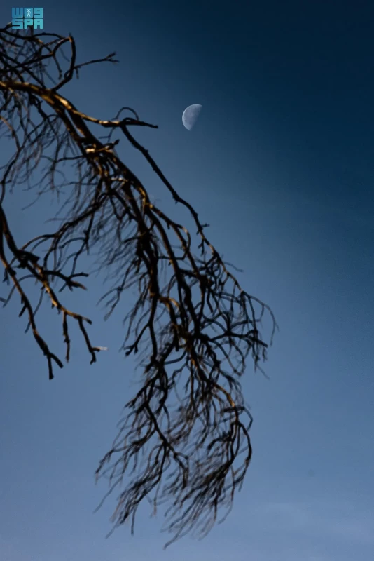 قمر «التربيع الأخير» يظهر في الحدود الشمالية بنصف ضوء