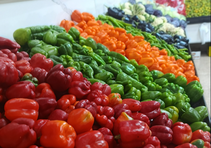 الزراعة تمنع تسويق 15 محصولاً زراعياً قادماً من إقليم كردستان