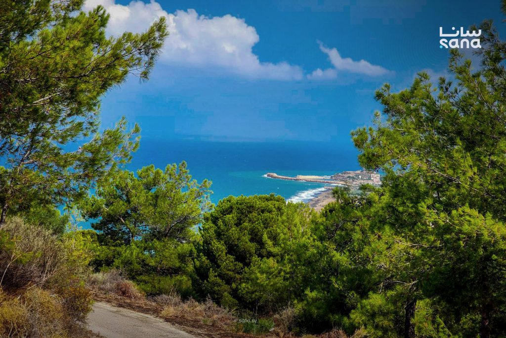 الجو بين الصحو والغائم جزئياً بمعظم مناطق سوريا ومنخفض جوي جديد غداً