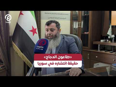 «طاعون الدجاج» حقيقة انتشاره في سوريا