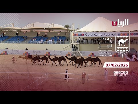 مهرجان قطر للإبل - جزيلات العطا