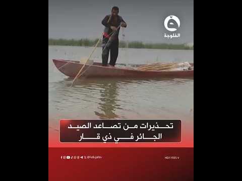 تحذيرات من تصاعد الصيد الجائر في ذي قار وتهديده للتنوع البيئي