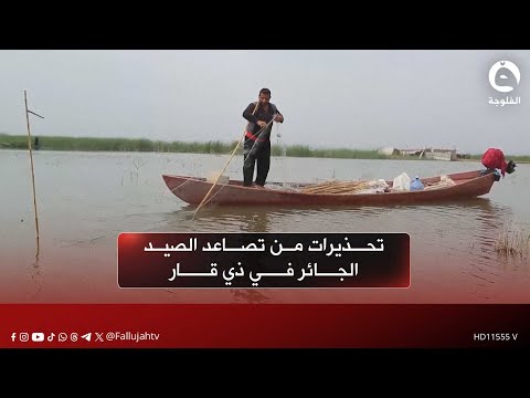 تحذيرات من تصاعد الصيد الجائر في ذي قار وتهديده للتنوع البيئي