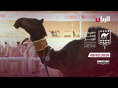 مهرجان قطر للإبل - جزيلات العطا