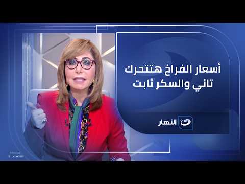 الفراخ بتزيد مع المرتبات وهتتحرك تاني قبل رمضان والسكر سعره ثابت في الأسواق