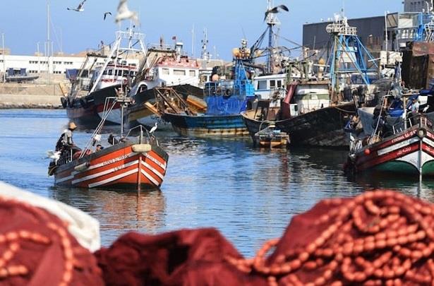 مراكب الصيد الساحلي بميناء العرائش تستأنف نشاطها بعد تحسن أحوال البحر