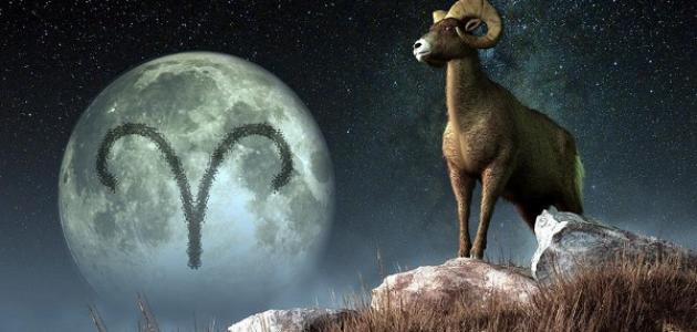 برج الجدي .. حظك اليوم الأربعاء 11 فبراير 2026