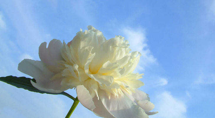 تطبيق سنة النبي الكريم في الصيام .