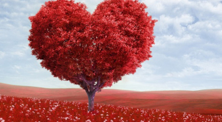 باب الرقائق ، كلمات ترقق القلب تزهد بالدنيا و ترغب بالآخرة .