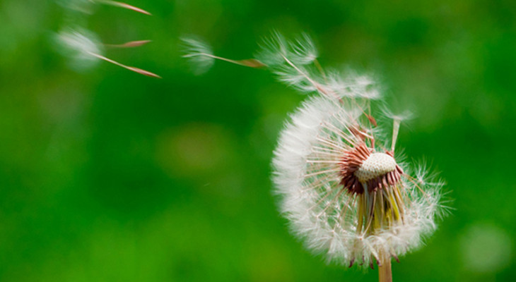 الإحباط2 ، ما جاء في القرآن في إحباط العمل .